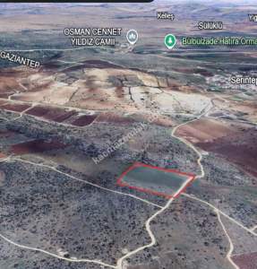 Kirlialıcı Da 22 Dönüm Tek Tapu Çok Uygun Tarla 12