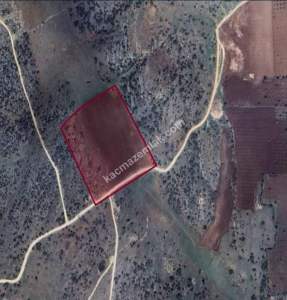 Kirlialıcı Da 22 Dönüm Tek Tapu Çok Uygun Tarla 4