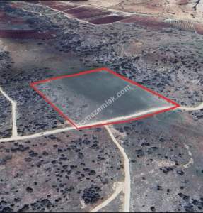 Kirlialıcı Da 22 Dönüm Tek Tapu Çok Uygun Tarla 10