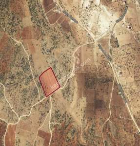 Kirlialıcı Da 22 Dönüm Tek Tapu Çok Uygun Tarla 14