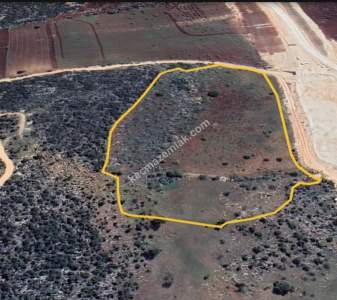 Yola Sıfır Üçgöze De 26 Dönüm Tek Tapu Fıstıklık 5