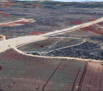 Yola Sıfır Üçgöze De 26 Dönüm Tek Tapu Fıstıklık 9