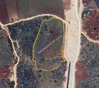 Yola Sıfır Üçgöze De 26 Dönüm Tek Tapu Fıstıklık 7