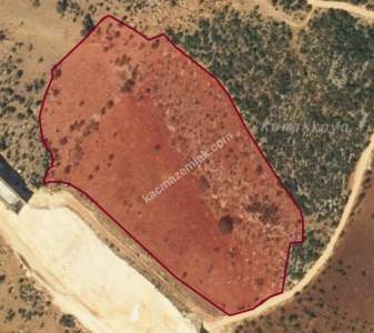 Yola Sıfır Üçgöze De 26 Dönüm Tek Tapu Fıstıklık 2