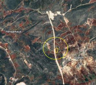 Yola Sıfır Üçgöze De 26 Dönüm Tek Tapu Fıstıklık 3