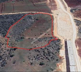 Yola Sıfır Üçgöze De 26 Dönüm Tek Tapu Fıstıklık 10