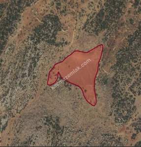 Şehitkamil Yenişarkayada 19,440 M2 Tek Tapu Uygun Tarla 2