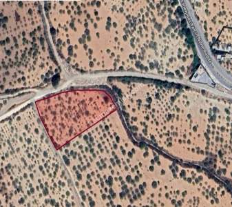 Yola Sıfır Yukarı Arıl Da 5 Dönüm Tek Tapu Yer 1