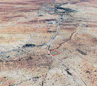 Yola Sıfır Yukarı Arıl Da 5 Dönüm Tek Tapu Yer 11