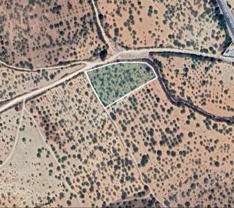 Yola Sıfır Yukarı Arıl Da 5 Dönüm Tek Tapu Yer 4