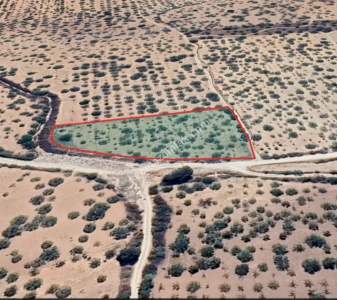 Yola Sıfır Yukarı Arıl Da 5 Dönüm Tek Tapu Yer 3