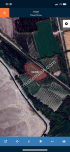 Iğdır Merkez Küllük Köyü Kayısı Bahçesi Satılık Tarla