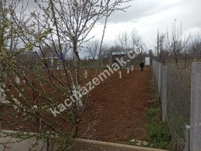 Isparta Atabey İslamköy'de Yatırımlık Satılık Bahçe 3