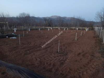 Isparta Atabey İslamköy'de Yatırımlık Satılık Bahçe 12