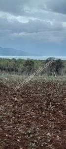 Isparta Gelendost Merkez Satılık Tarla 3