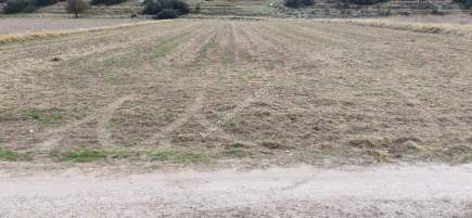 Isparta Merkez Gönen Senirce Köyü Satılık Tarla 2