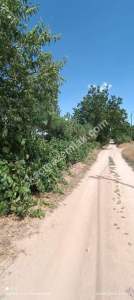 Isparta Merkez Kuleönü Kasabası Satılık Arsa 16