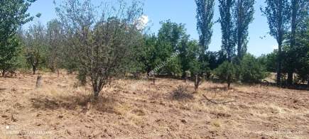 Isparta Merkez Kuleönü Kasabası Satılık Arsa 14