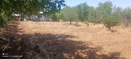 Isparta Merkez Kuleönü Kasabası Satılık Arsa 13