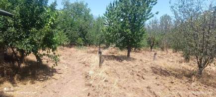 Isparta Merkez Kuleönü Kasabası Satılık Arsa 10