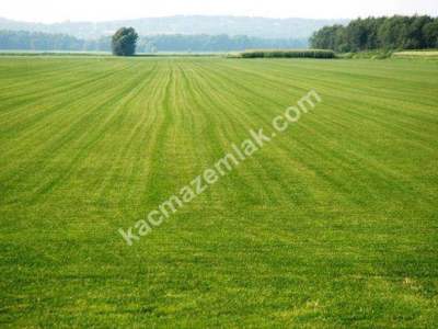 Arnavutköy Haraçcı Mah. 86 M2 Satılık Arsa 1