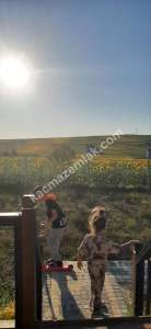 İstanbul Çatalca Akalan Köy Satılık Bahçeli Ev Ve Tarla 9