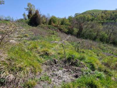 Müstakil Tek Tapu Tarla 5923 M2 Çatalca Çiftlikköy 4