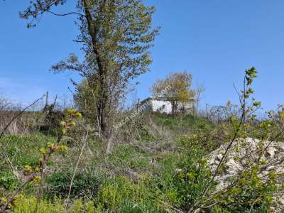 Müstakil Tek Tapu Tarla 5923 M2 Çatalca Çiftlikköy 5