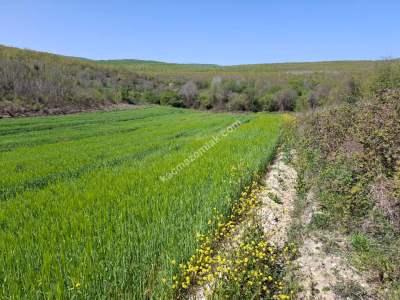 Müstakil Tek Tapu Tarla 5923 M2 Çatalca Çiftlikköy 3