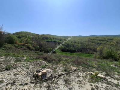 Müstakil Tek Tapu Tarla 5923 M2 Çatalca Çiftlikköy 6