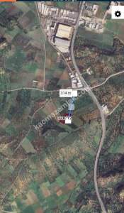 İzmir Bergama'da Satılık Zeytinli Tarla 1