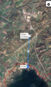 İzmir Bergama'da Satılık Zeytinli Tarla 2