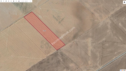 Karaman'da Satılık Tarla 1