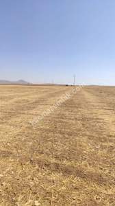 Karaman'da Satılık Tarla 3