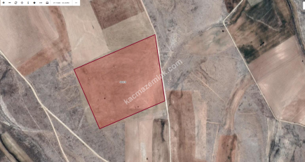 Karaman'da Satılık Tarla 1