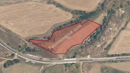 Kastamonu Merkez Yatırımlık Hisse 4