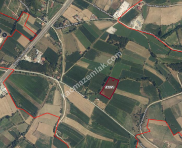 Kastamonu Gömeç De Yatırımlık Arazi 5