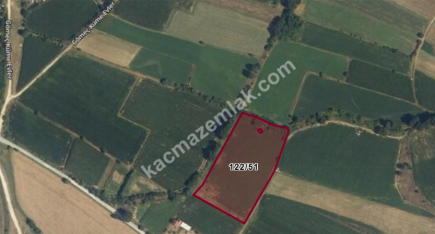 Kastamonu Gömeç De Yatırımlık Arazi 4