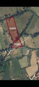 Kastamonu Has Köy De Satılık Tarla 2