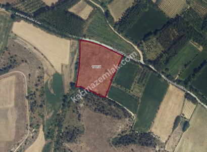 Kastamonu Merkez Sarıömer Köyünde Yatırımlık Hisse 3