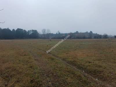 Kastamonu Merkez Sarıömer Köyünde Yatırımlık Hisse 6