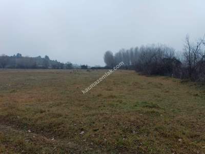 Kastamonu Merkez Sarıömer Köyünde Yatırımlık Hisse 7