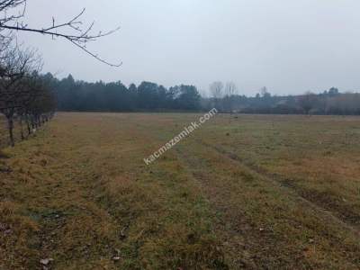 Kastamonu Merkez Sarıömer Köyünde Yatırımlık Hisse 9