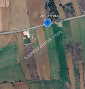 Kastamonu Merkez Taşlık Köyünde Satılık Arazi 2