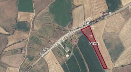 Kastamonu Merkez Taşlık Köyünde Satılık Arazi 3