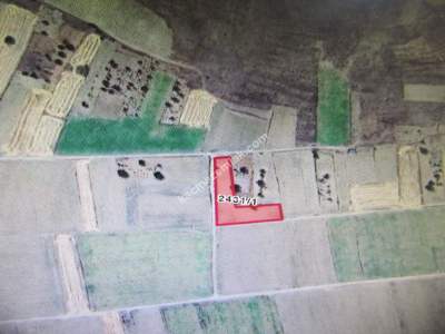 Kayseri Develi Ayvasacı Mah Satlık Tarla 3