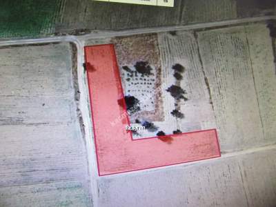 Kayseri Develi Ayvasacı Mah Satlık Tarla 4