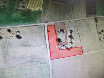 Kayseri Develi Ayvasacı Mah Satlık Tarla 1