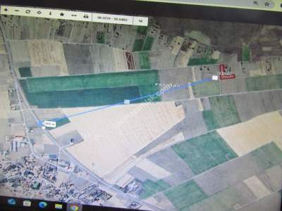 Kayseri Develi Ayvasacı Mah Satlık Tarla 2