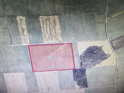 Kayseri Develi Ayvazhacı Köy Satlık Tarla 3